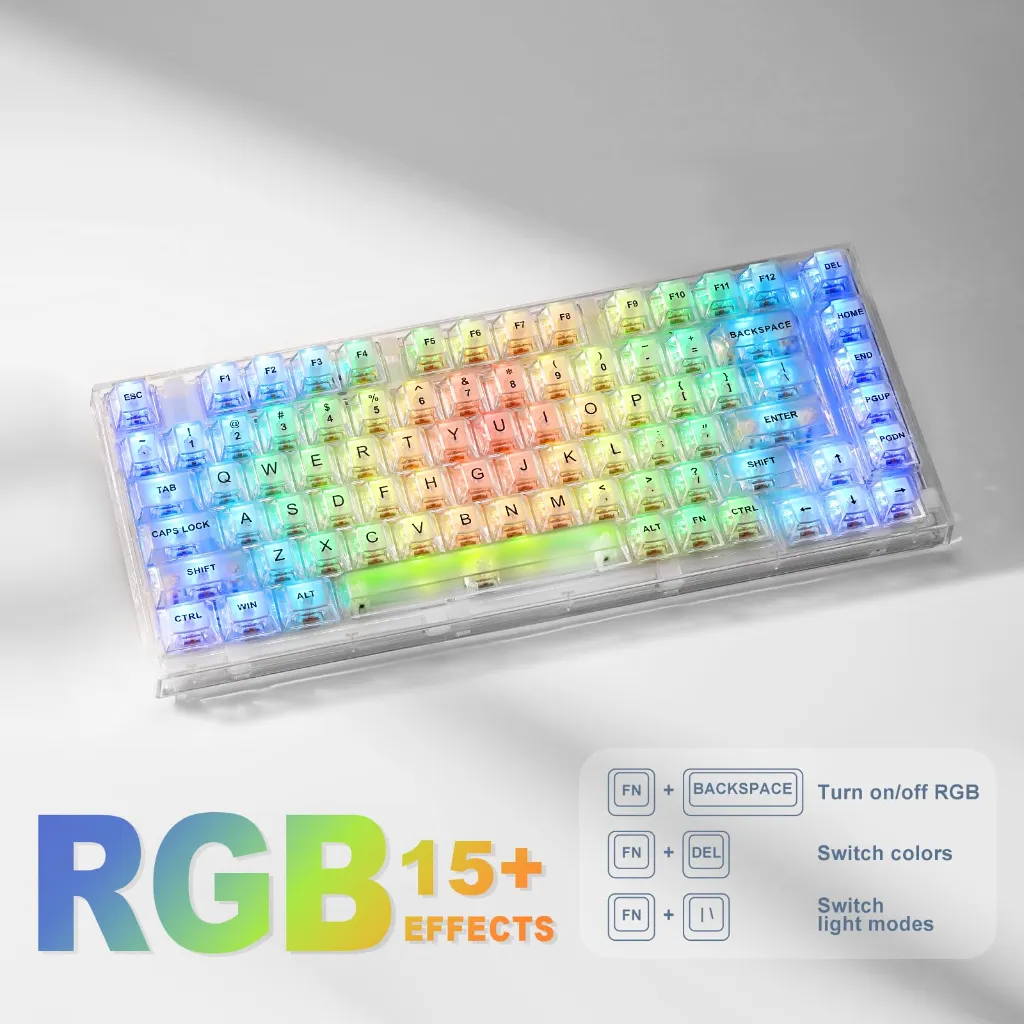 mouse 1.webp