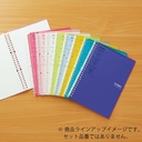 Kokuyo Loose Leaf Binder B5, Clear