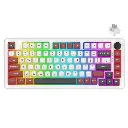 rgb.webp