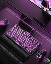 GravaStar Mercury V75 lite Gaming Keyboard Wired Detachable Cable Support 4000Hz Polling Rate Wired 75% Layout US Array 