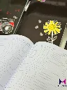 695847402_938149832392257_8087208865560023620_n.webp