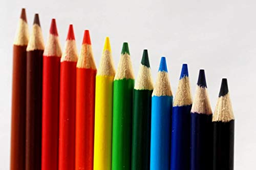 DOMS Full Size Colour Pencil 24 Shades