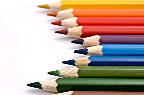 DOMS Full Size Colour Pencil 24 Shades