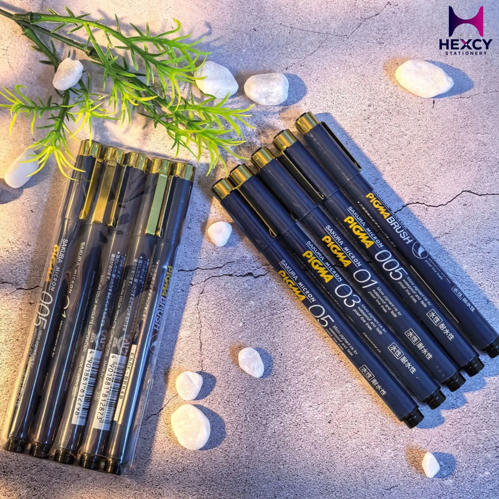 [ESDK-5#49] Sakura Cray-Pas Pigma Water-Based Pen,Set of 5 Types,Black 