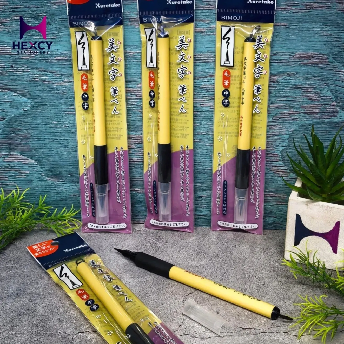 Kuretake Brush Pen Beautiful Writing Brush Pen Medium Brush Tip XT5-10S