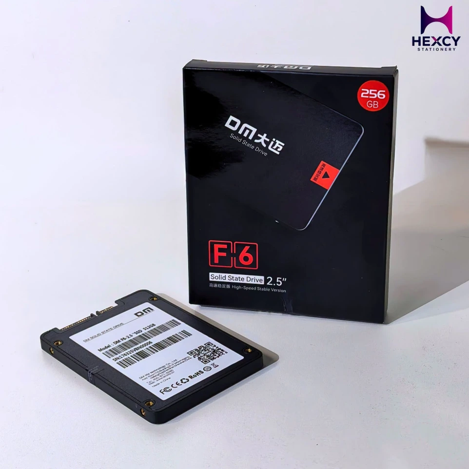 [F6256GB] D.M F6 SATA 256 GB